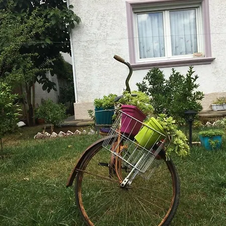 Appartement Mario *
